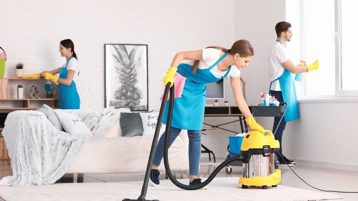 Professional Cleaning